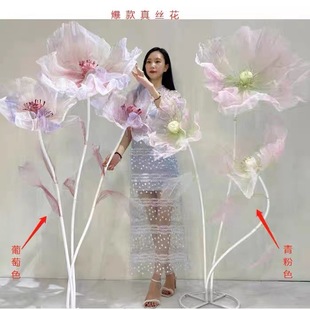�W�t��z�¿���z����ct̨��̨�b���·����ˇ��չ�������