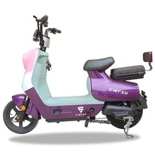 CKD OEM ODM ���S���l 48V 12AH 350W �ƿ܇늄�����܇