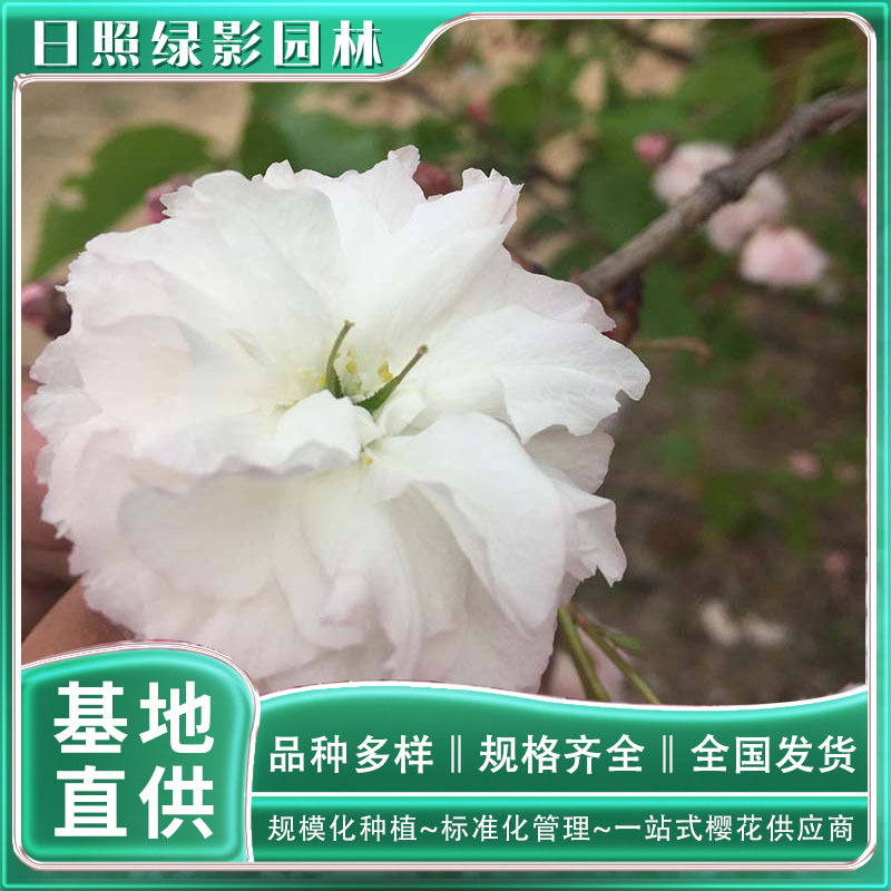 微信图片_20230211104114 副本.jpg