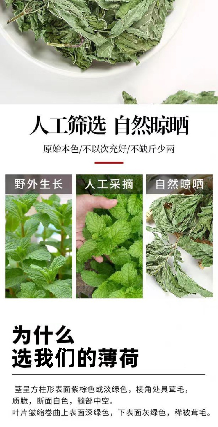 Bo He Ye (Mentha haplocalyx) — Dried Whole-Plant Mint Herb, 500g quality and texture