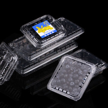 U^一次性蓝莓包装盒125克g透明塑料加厚食品级蓝莓盒枸杞树莓打包