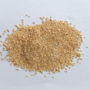 ���������{�N������ǧ��ȸߵ����u���Z����ϲʳ�{�˾G�����̲���