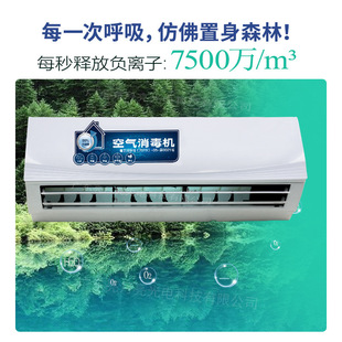 Sterile Ward Air Disinfection Machine Wall-Mounted Negative Ion Ultraviolet Sterilization Operating Room Clinic Ozone Sterilizer