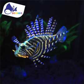 海鱼硅胶鱼塑料鱼吸盘水族用品装饰品水族馆鱼工厂批发仿真狮子鱼