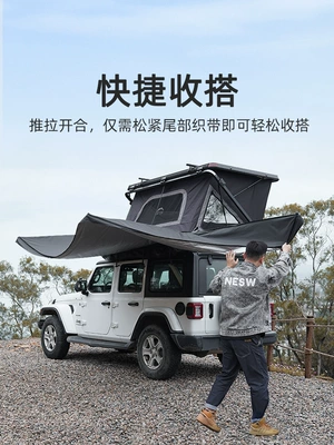 Awning, Avtomobil yan çətirləri