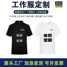 ���ވA�I���䷭�IPolo�������������ٸ�T��ӡlogo�V���Ļ����̽�