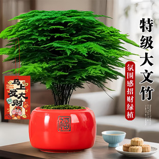 ���������������辰�k���ҾGֲ�҃ȿ͏d��ʽ�U���ļ�ֲ����ؔ��լ