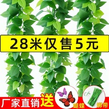 �Gֲ�ٗl�����٘��~���ϻ���ˮ�ܵ��b��{���ӻ��پG�~�ړ�