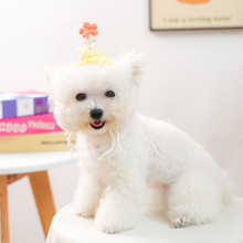 С��Ȯ�� PETCIRCLE����С����؈��ɐۻ���ë��ñ�ӌ����Ʒ