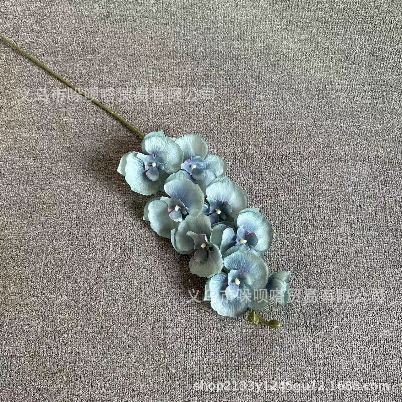 8 실크 호접란-레트로 블루