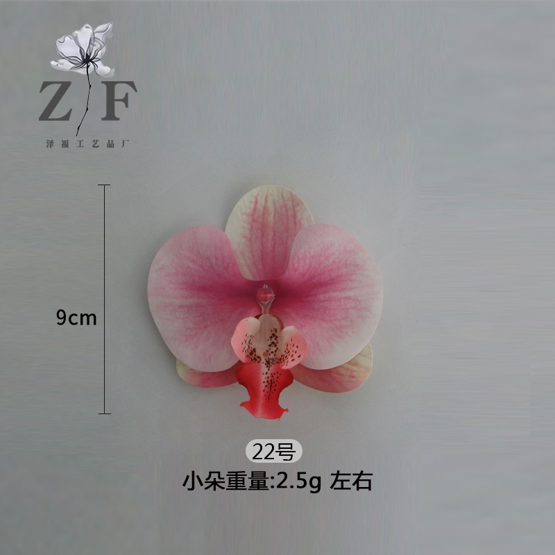 22호(소)