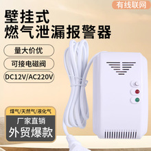 外贸出口燃气报警器家用可燃气体探测天然气液化气泄漏报警传感器