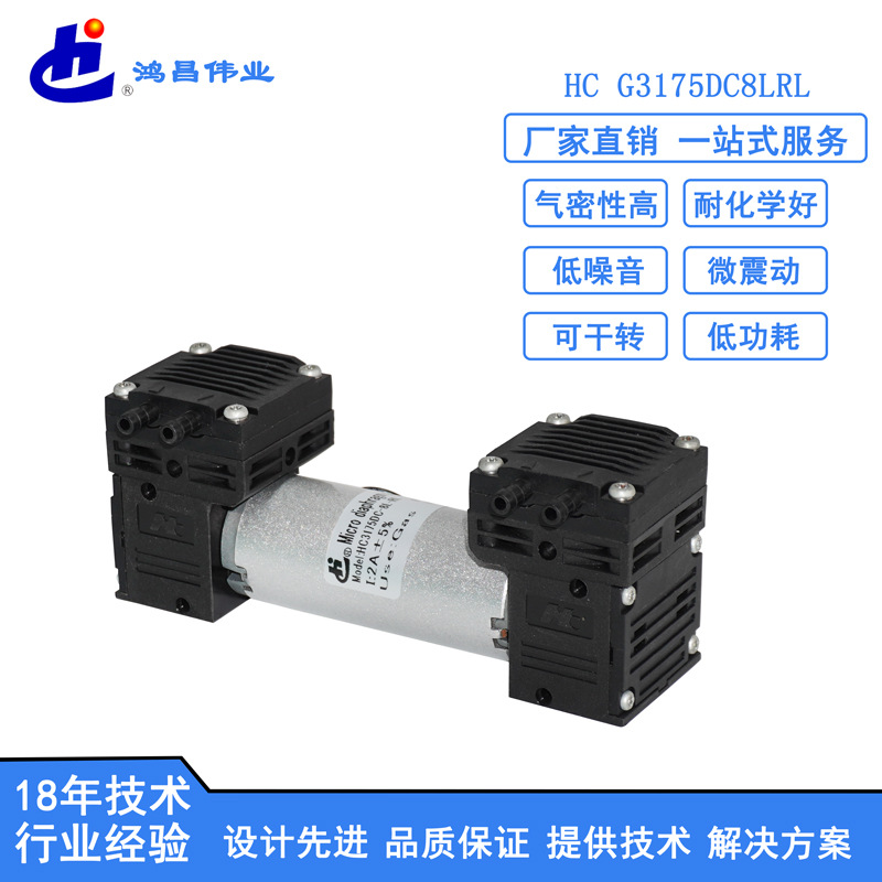 厂家批发微型正压泵 电动双头气泵 正压0.25MPa打气泵 微型正压泵