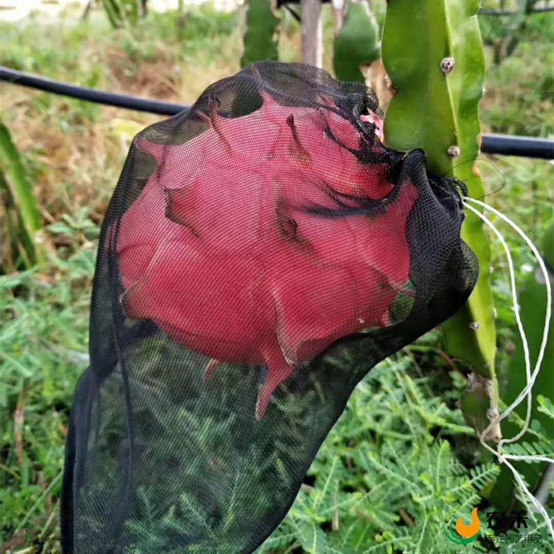 mmexport1528624621785_副本