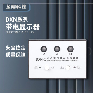 高壓帶電顯示器 DXN-T/Q DXN8B-T/Q 帶驗電 核相櫃內 GSN-10-35KV