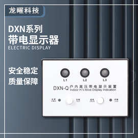 高压带电显示器 DXN-T/Q DXN8B-T/Q 带验电 核相柜内 GSN-10-35KV