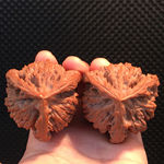 文玩正奔三棱核桃盘玩核桃大官帽异型大奔驰核桃文玩手把件非天然