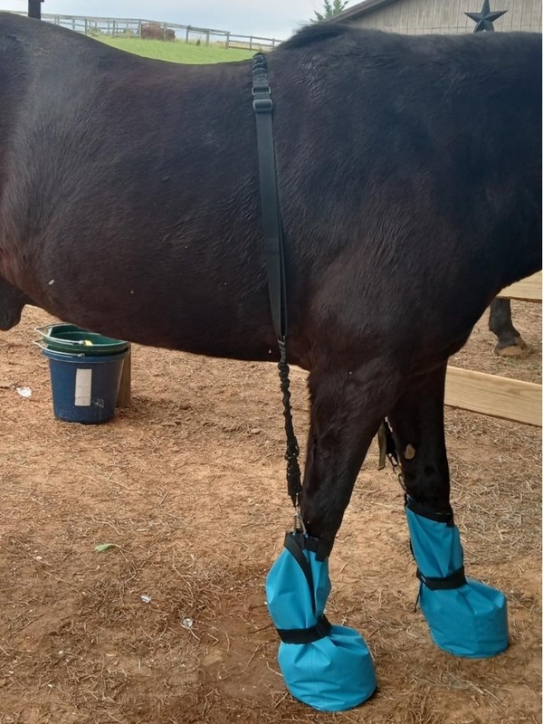 馬脚治療袋馬脚カバー馬蹄浸水袋馬脚ブーツ馬脚カバー馬脚保護具|undefined