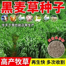 ߮aݷNѶݷNBֳݷNuţ~ݷNļ