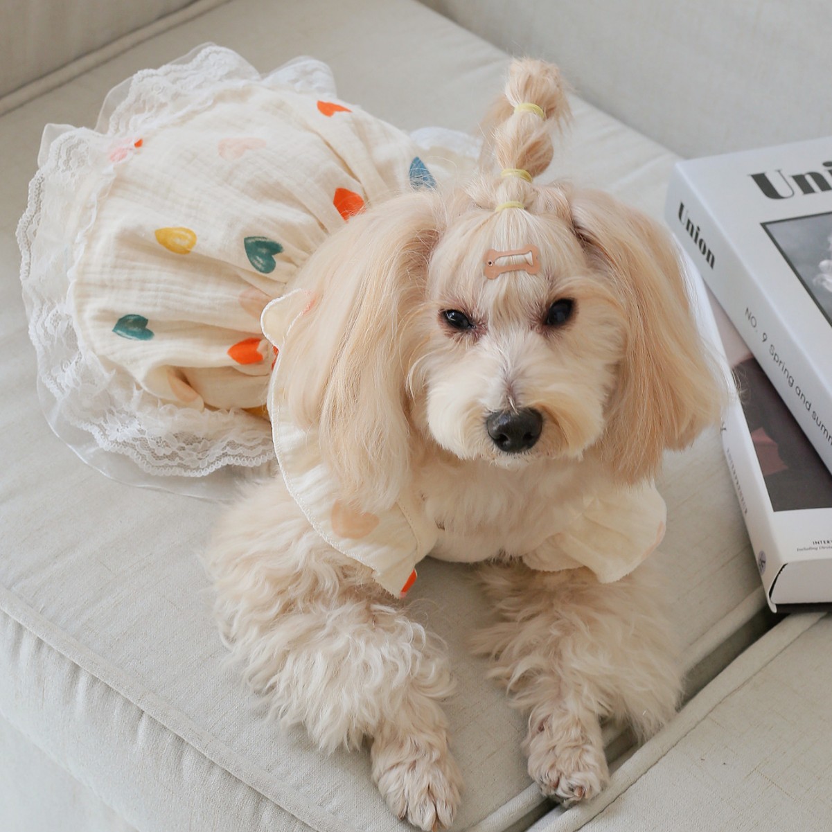 Comercio exterior transfronterizo lindo patrón en forma de corazón falda para mascotas para perros y gatos falda con volantes falda de muñeca adecuada para tallas pequeñas y medianas