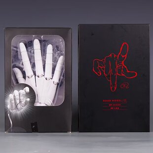 Super Movable 1:1 Hand Model Finger Joint Bionic Painting Voroid Art Model Ornaments Boxed Hand