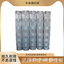 防护网热镀锌铁丝网防锈牛栏网圈地钢丝网栏养殖网牛羊果园围栏网
