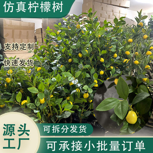 ʘԿ͏dֲ҃ļ٘䎧ֹ̖Gֲl