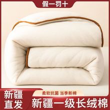 新疆棉花被子被芯冬天加厚保暖被芯棉絮垫被褥子棉胎学生棉被铺底