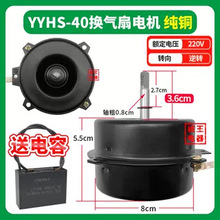 YYHS-40�Q����늙Cԡ��늙C�������D�R�_���L��늙C���220V���~