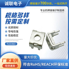 TLS5463 ���Ӷ��ӹ������_�������_�̶���������_�Ӿ�����