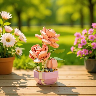 ���΢�w���eľ��P1268����ƴ�b����������ֲ��ģ������ƴ����