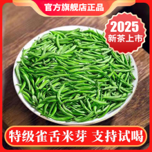 雀舌茶叶2025新茶明前特级绿茶贵州湄潭毛尖春茶叶嫩芽浓香型500g