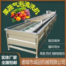 定制生姜喷淋气泡清洗机 香葱白菜韭菜清洗设备 大型桑葚子清洗机
