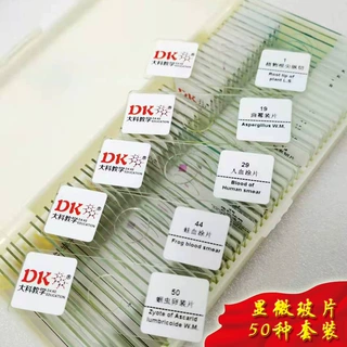 大科教学 中学教学 显微玻片套装50片/套 生物切片动植物混装系
