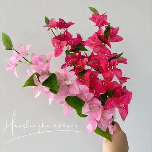 ��֧����÷���滨���ظ�ٻ��Ƶꙻ���쾰�b���ܛ�b�羳���Q