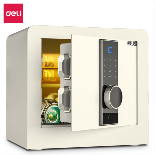 Deli 33168 33169 Safe Home Office In-Wall Mini Safe Safe