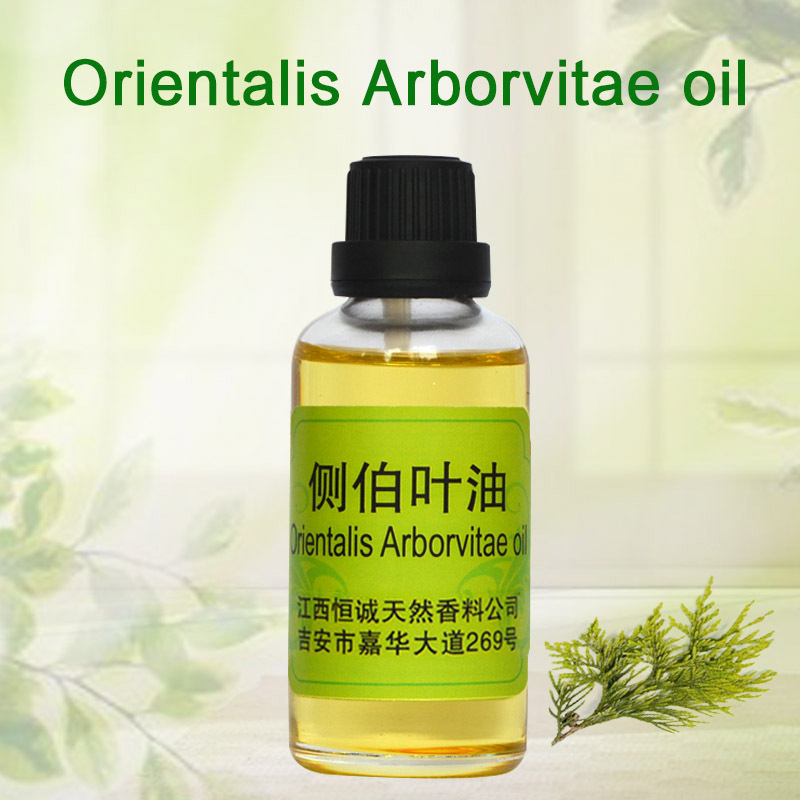 GMP/SC认证厂家供应侧柏叶油 侧柏木油 侧柏油 现货直供