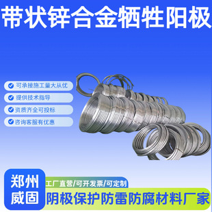 ZR-1�����\�Ͻ����ꖘO ��ȼ���Lݔ�ܵ�ꎱ��\�� ZR-2�����\ꖘO