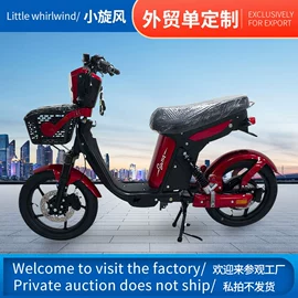 其他电动车;其他摩托车;电动三轮车