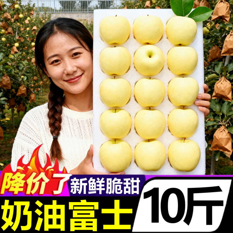 Authentic Shandong Yantai Golden Cream Fuji Apple 5kg Qixia Apple Crispy Sweet Fruit Fresh Seasonal Whole Box