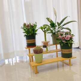 3 层木质陈列架多肉植物窗台架分层台面展示架木质收纳摆放架