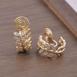 耳夹;耳钉;耳环