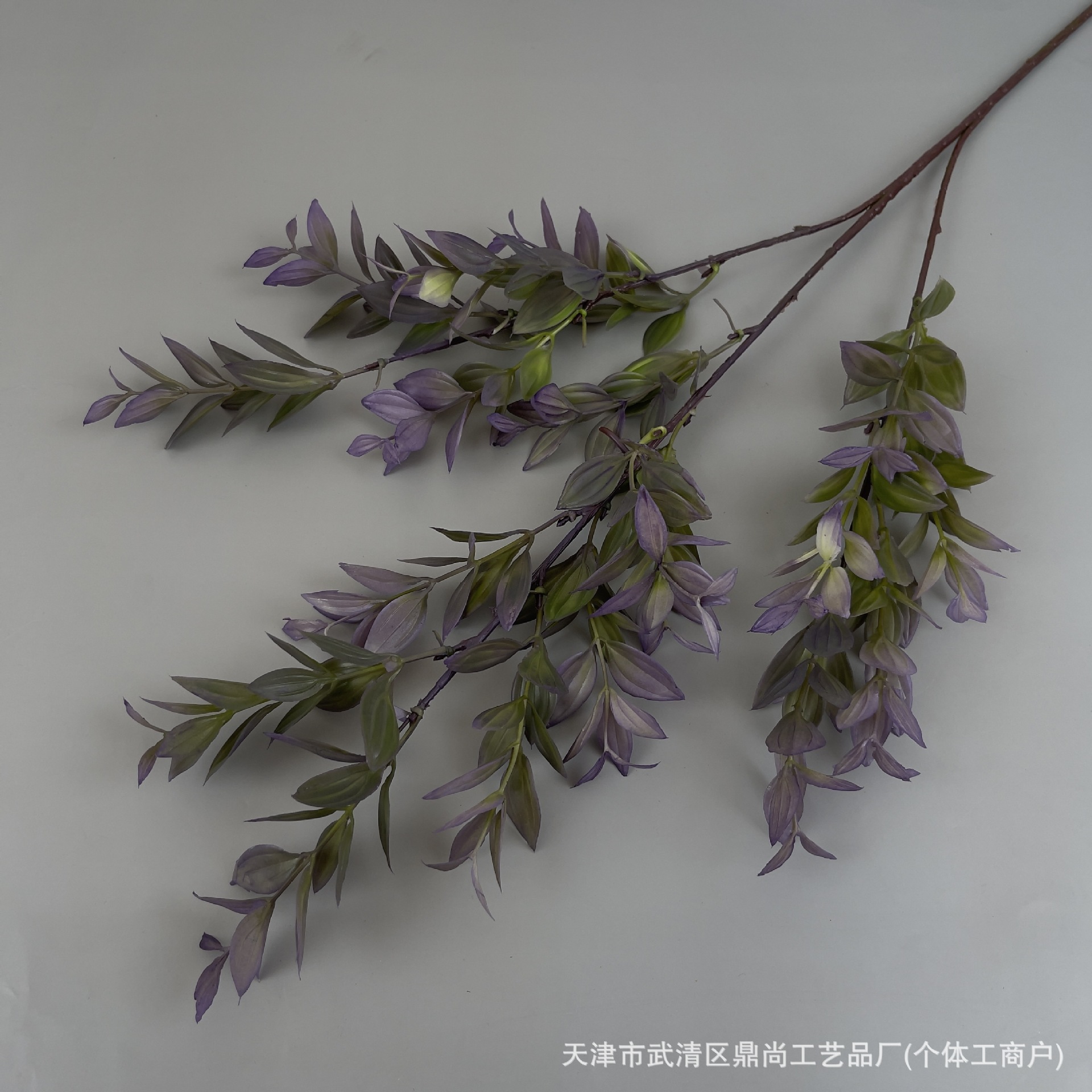 보라색 녹색