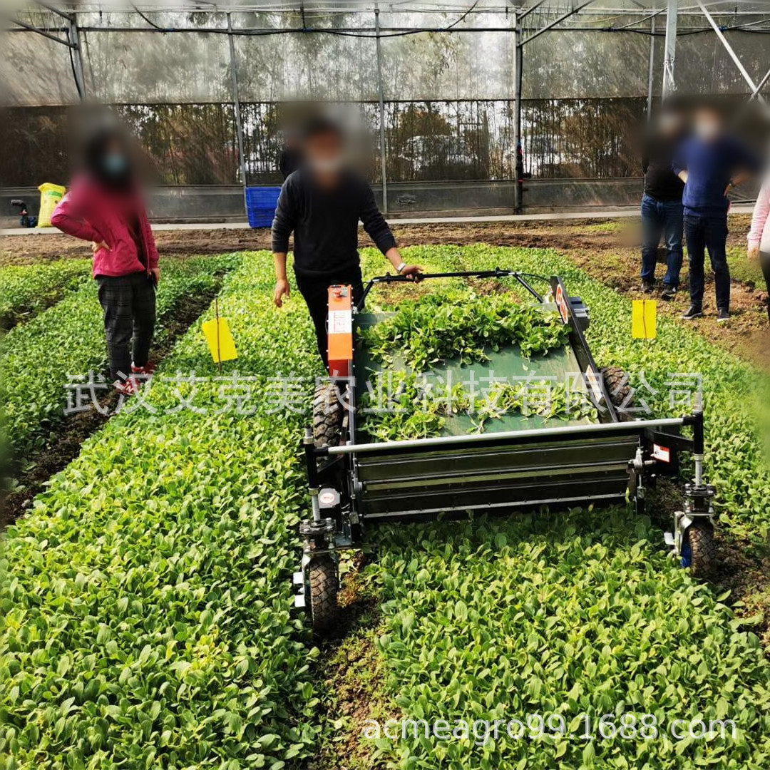 vegetable harvester 4_副本