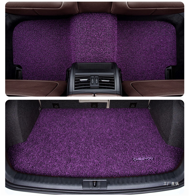 Car Floor Mat for the Driver's Seat, Single Piece Mat for the Driver's Seat, Single Wire Loop for the Passenger's Seat, Special Mat for the Passenger's Seat by Zhepei Hui
