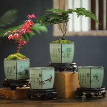 ��ɰ�������b�؃r͸��������Gֲ���Ժ����m�m��������⻨����}