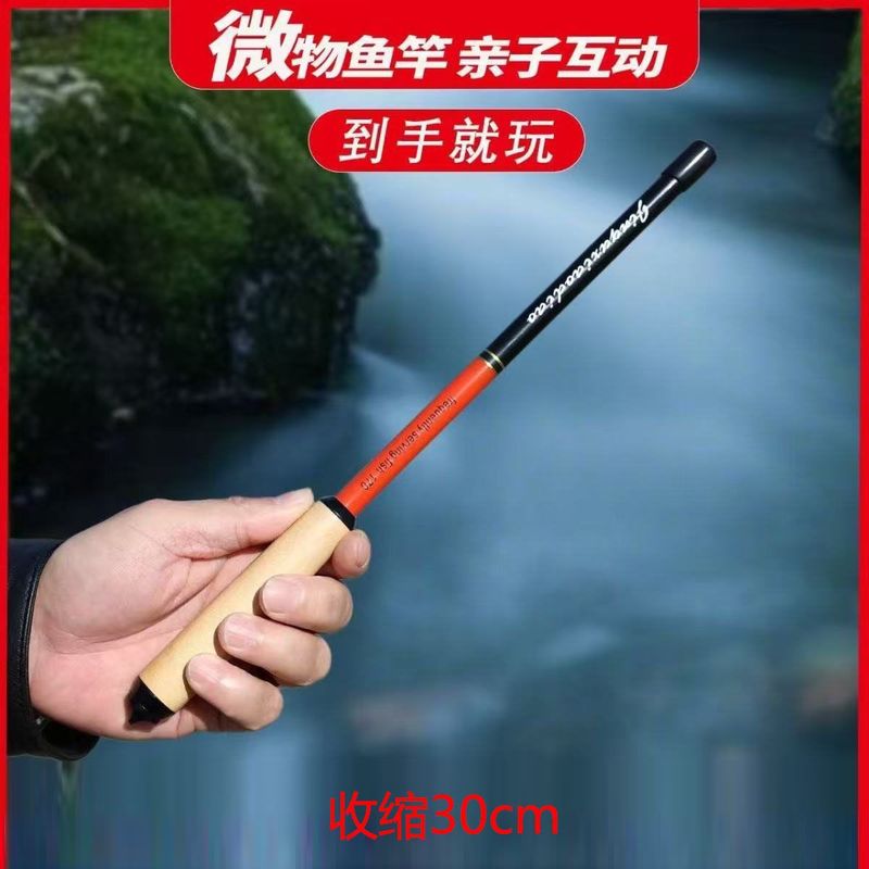 超短い小型釣竿、ミニ釣竿、持ち運びに便利な手竿、子供用の短いストリームロッド 30cm|undefined