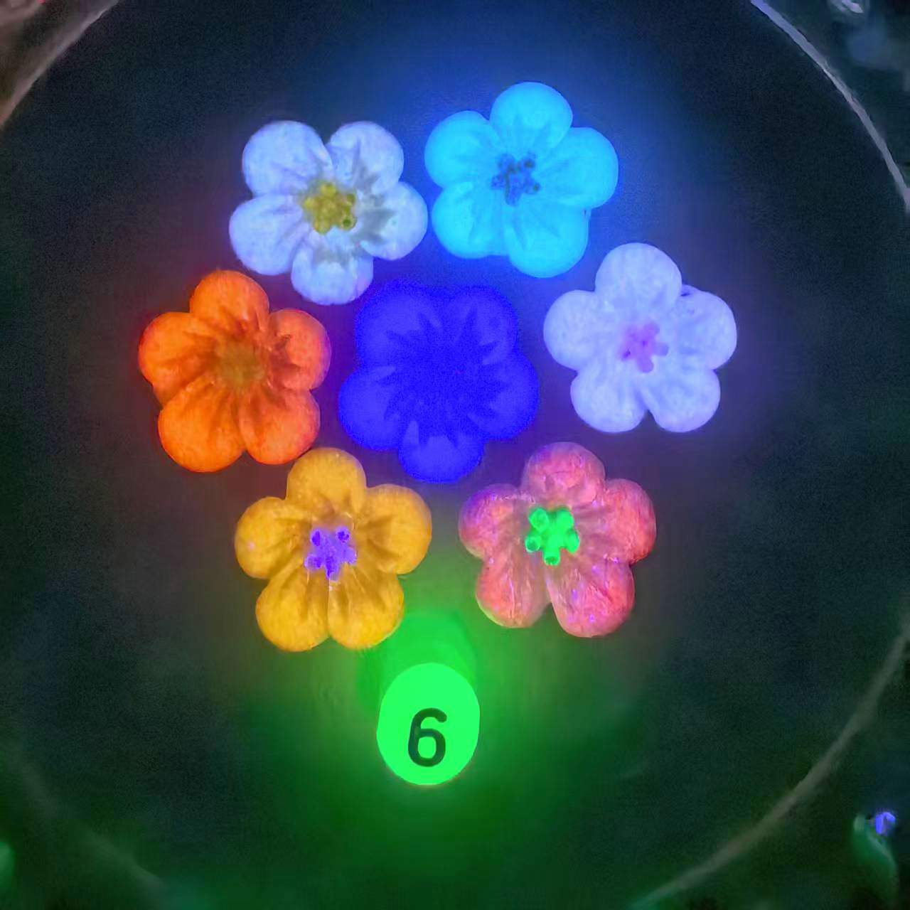 夜光梅花美甲饰品_16.jpg