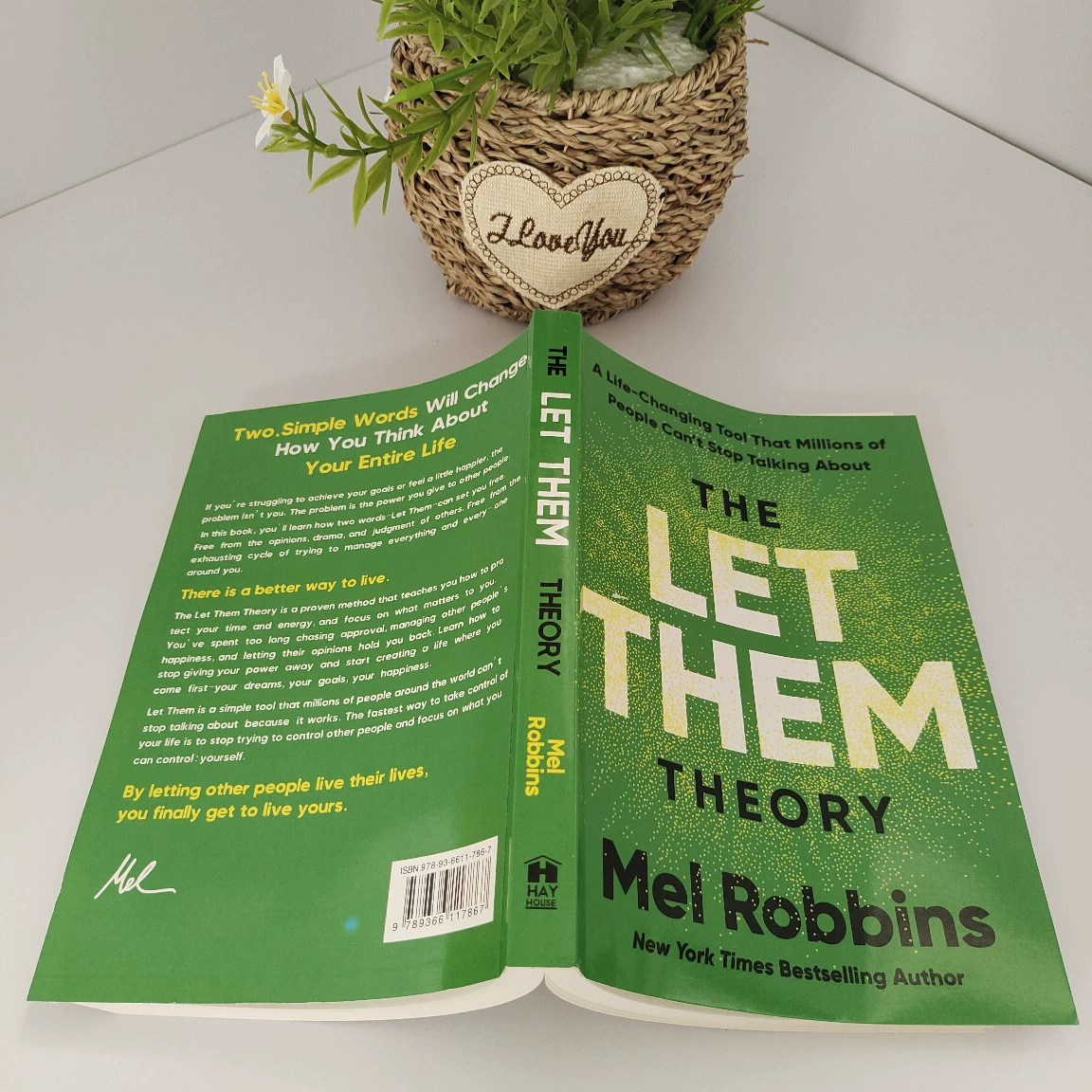 Граница хит The Let Them Theory Let Them Theory Блокнот