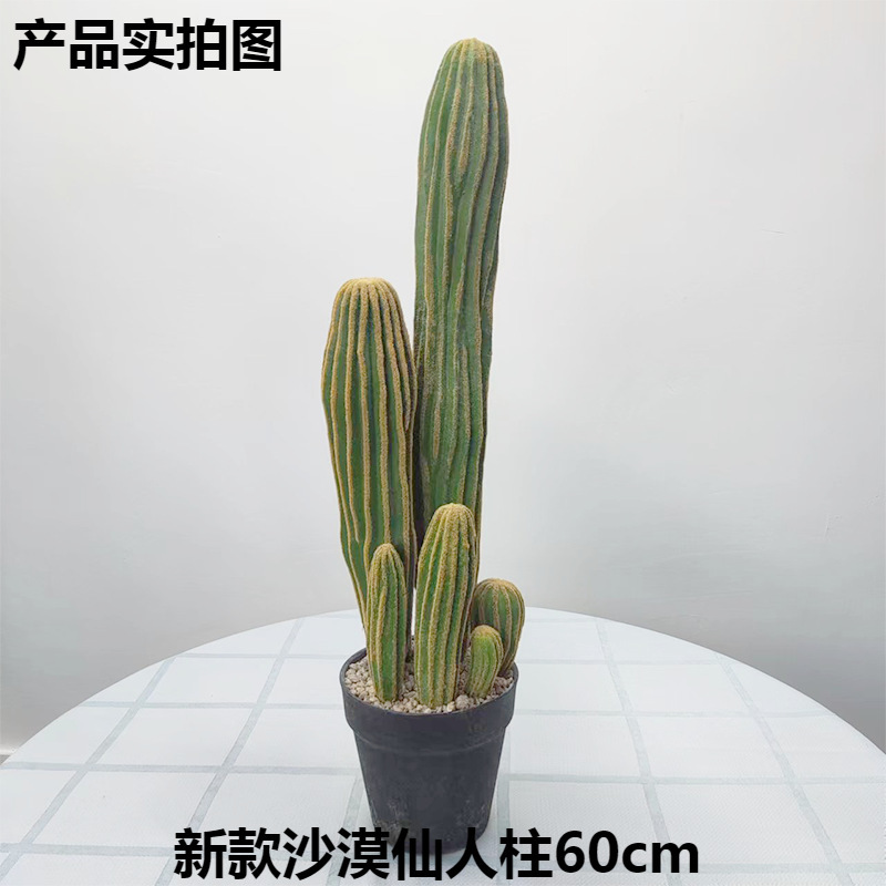 Simulación nórdica Planta verde Pilar de hadas Cactus grande piso interior sala de estar ropa tienda decoración de ventana